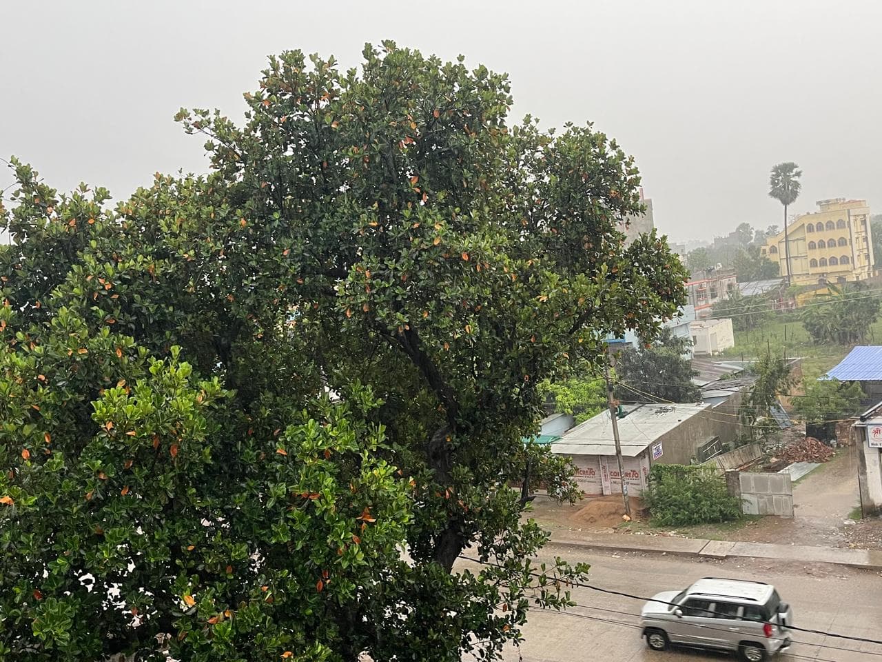 गर्मी के बीच राहत की बारिश, भागलपुर में बदला मौसम का मूड